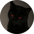 tommy insano profile picture